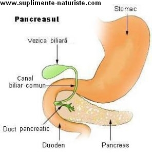 Inflamatia pancreasului